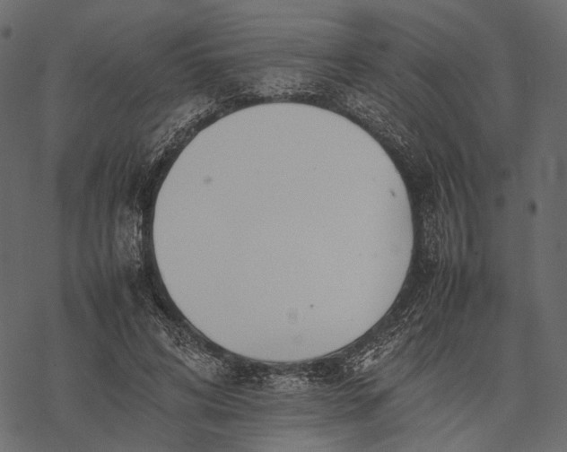X0000077330592200611031732