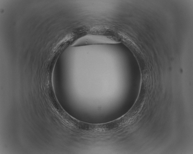 X0000077330593200611031732