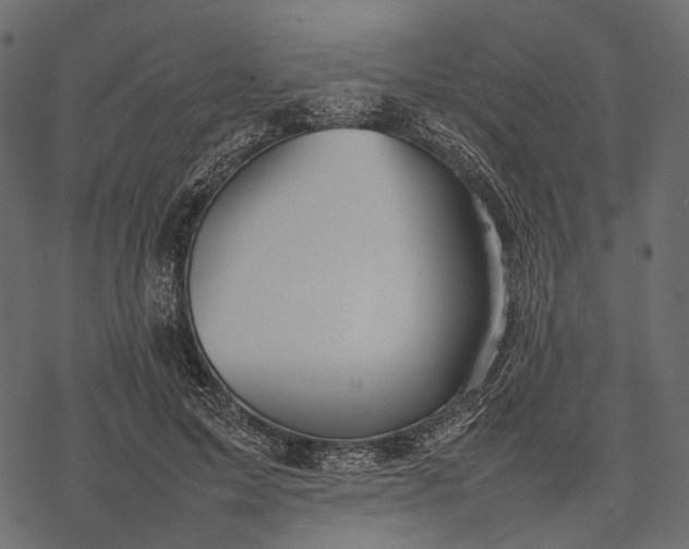X0000077330599200611031732