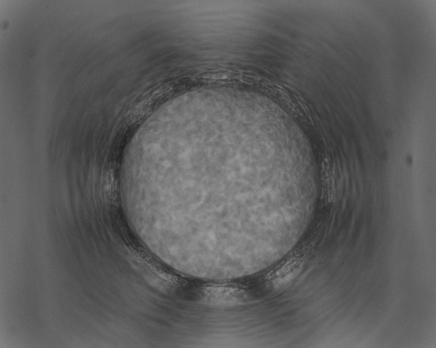 X0000077330614200611031732