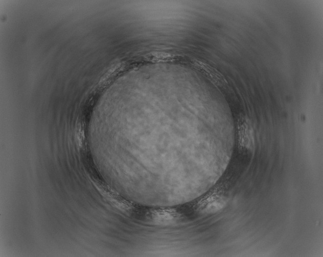 X0000077330618200611031732