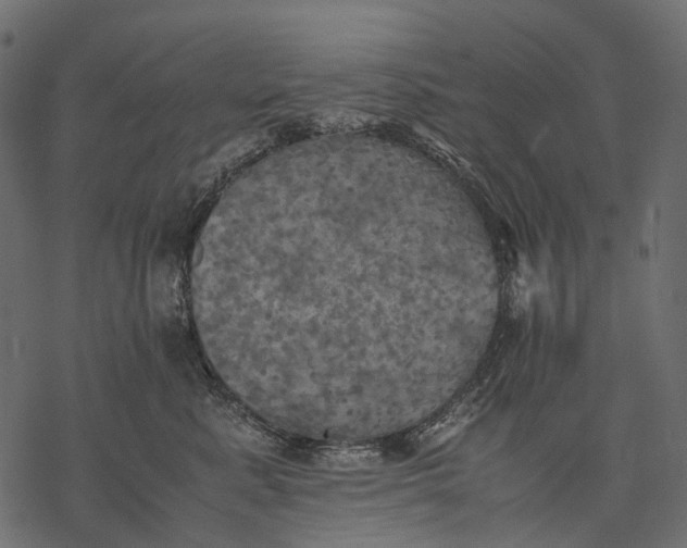 X0000077330619200611031732