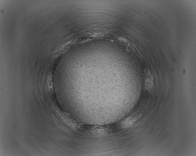 X0000077330620200611031732