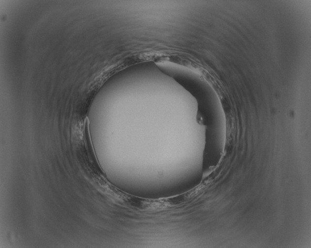 X0000077330621200611031732