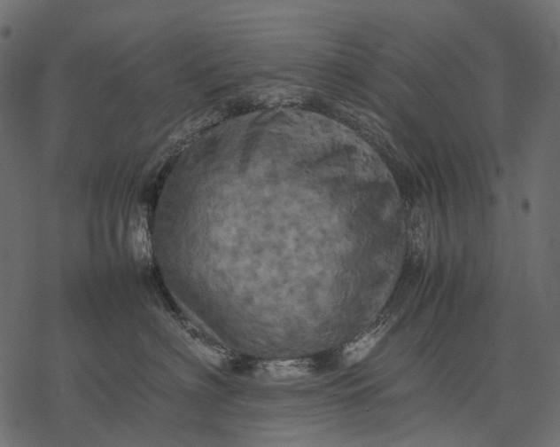 X0000077330622200611031732