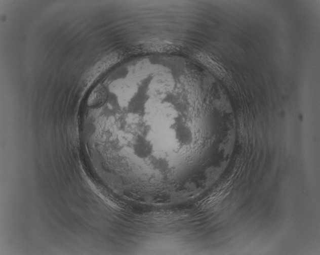 X0000077330630200611031731