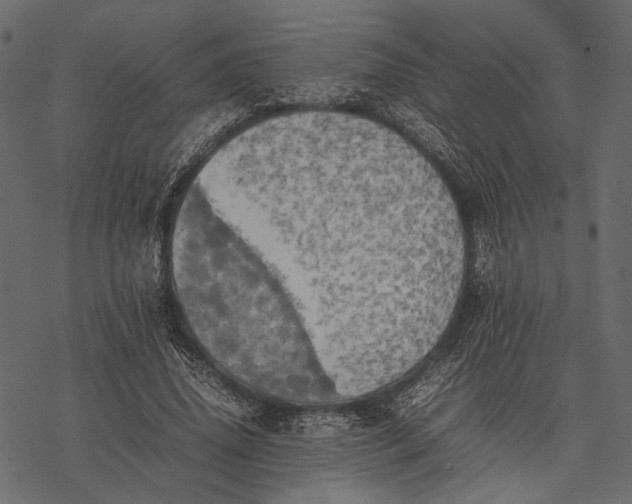 X0000077330636200611031731