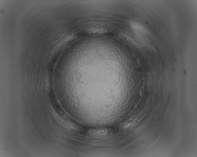 X0000077330639200611031731