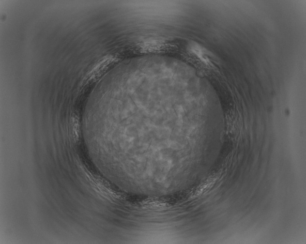 X0000077330648200611031732