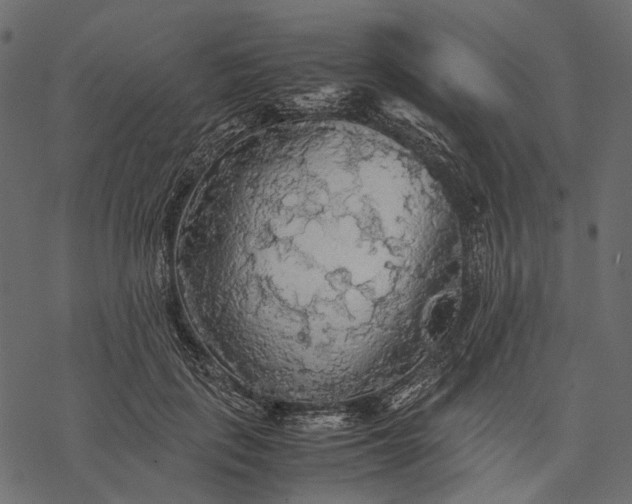 X0000077330651200611031732