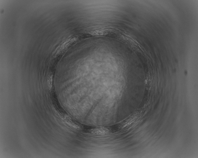 X0000077330652200611031732