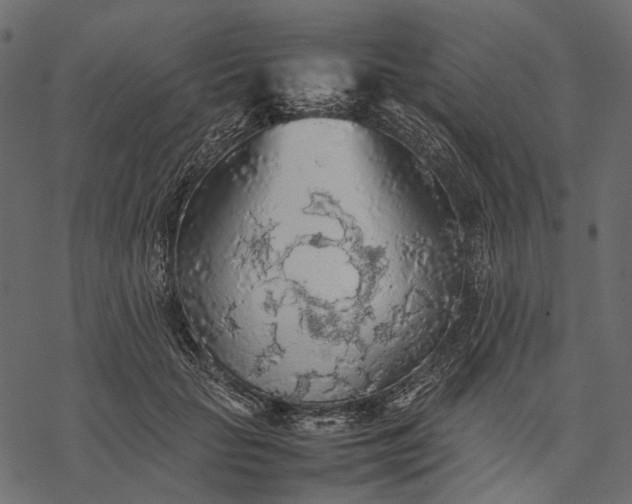 X0000077330653200611031732