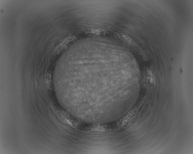 X0000077330656200611031732