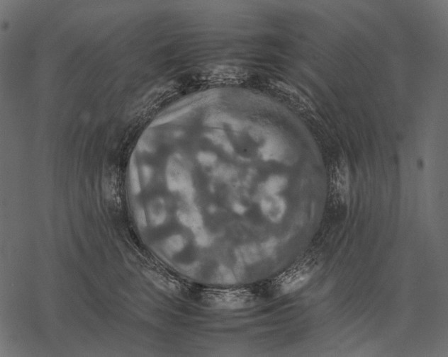 X0000077330663200611031732