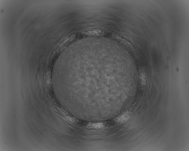 X0000077330665200611031732