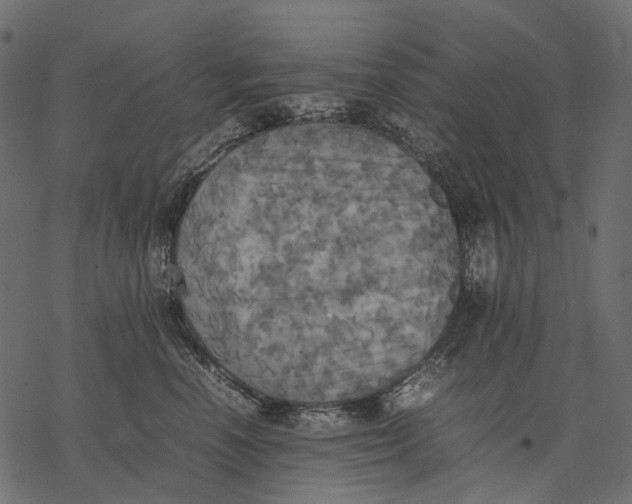 X0000077330666200611031732
