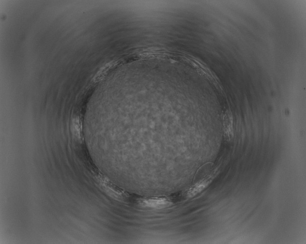 X0000077330669200611031732