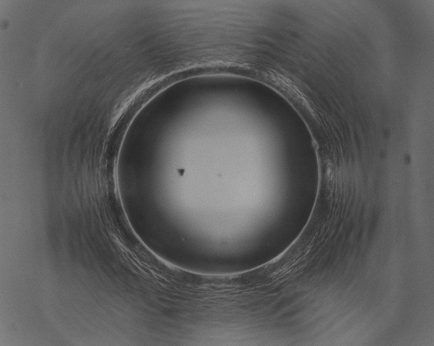 X0000077330676200611031731