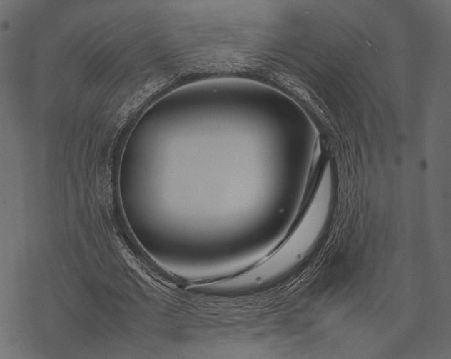 X0000077330677200611031731
