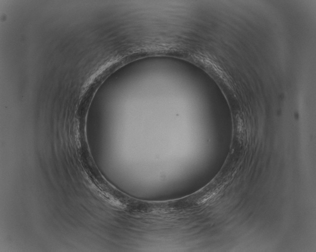X0000077330684200611031731