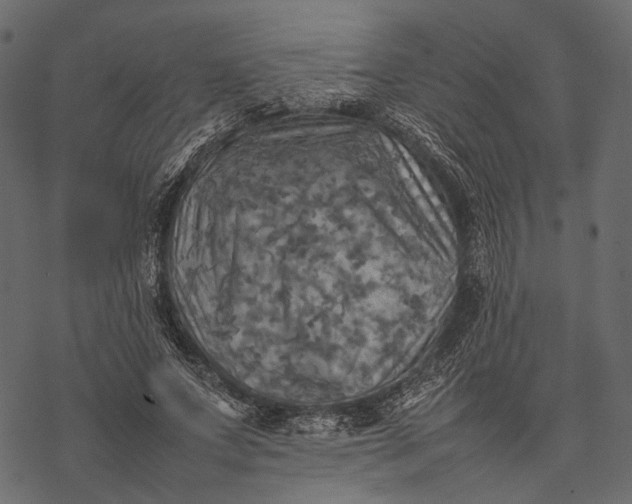 X0000077330687200611031731