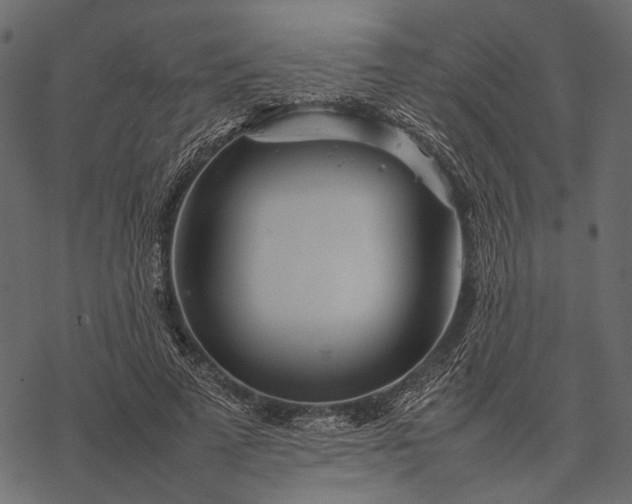 X0000077330689200611031731
