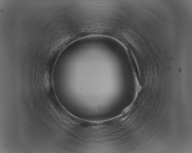 X0000077330692200611031731