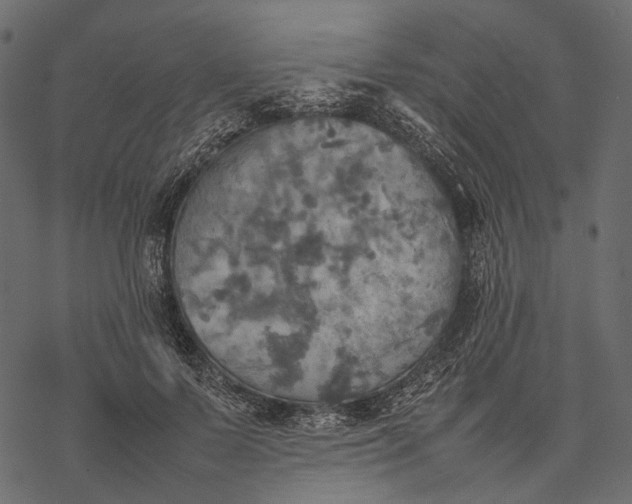 X0000077330695200611031731
