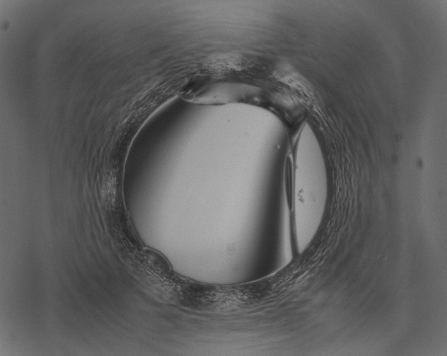 X0000077330697200611031731