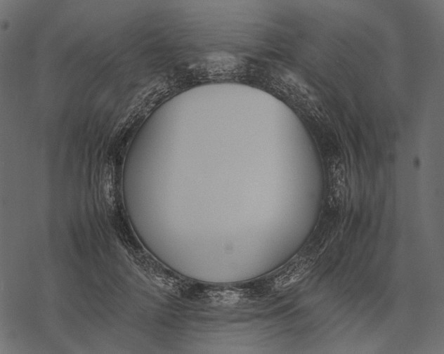 X0000077330698200611031731