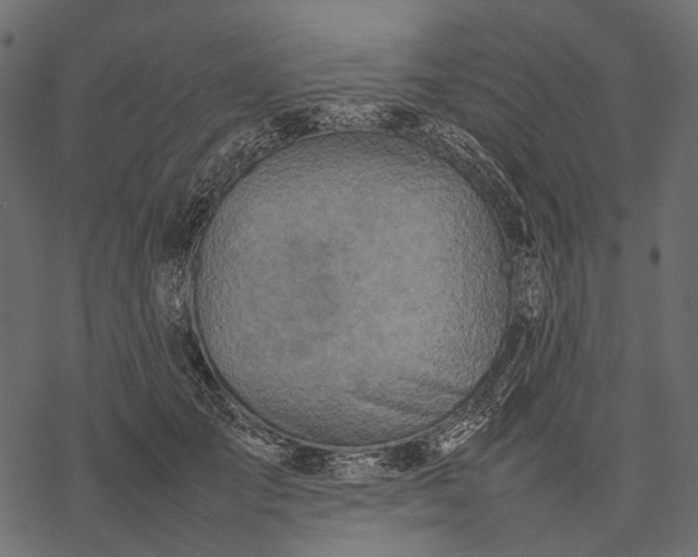 X0000077330701200611031731