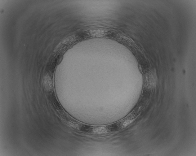 X0000077330705200611031731