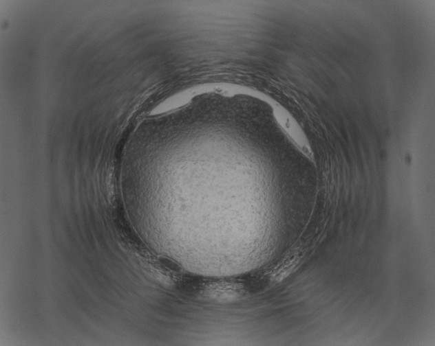 X0000077330708200611031731