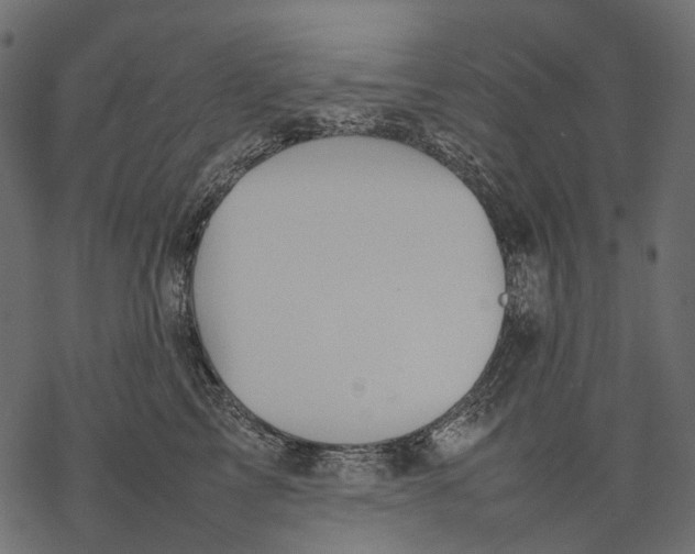 X0000077330713200611031730