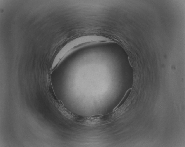 X0000077330720200611031730