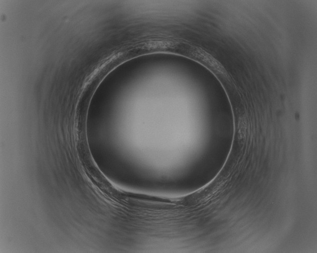X0000077330722200611031730