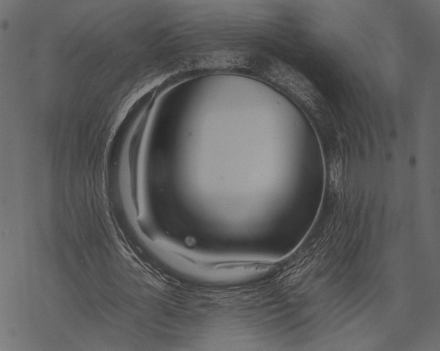 X0000077330724200611031730
