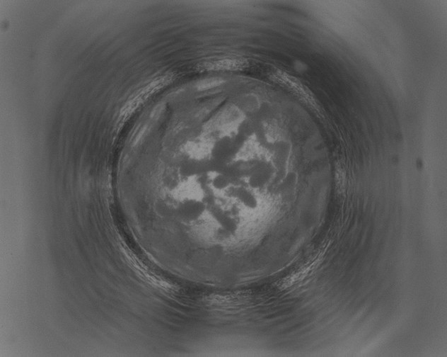 X0000077330725200611031730