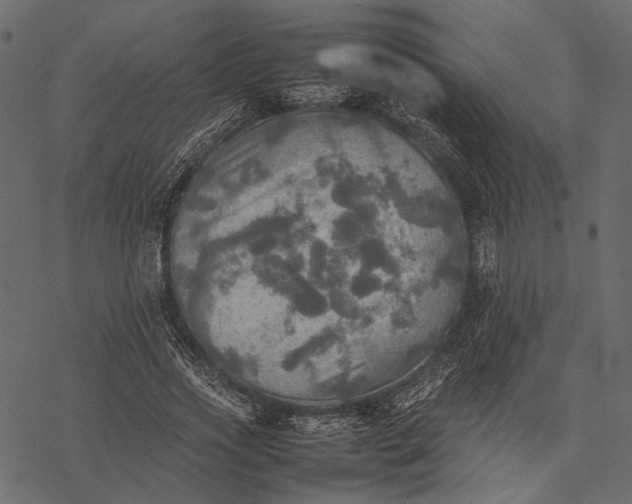 X0000077330733200611031730