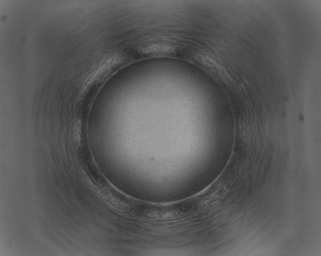 X0000077330735200611031730