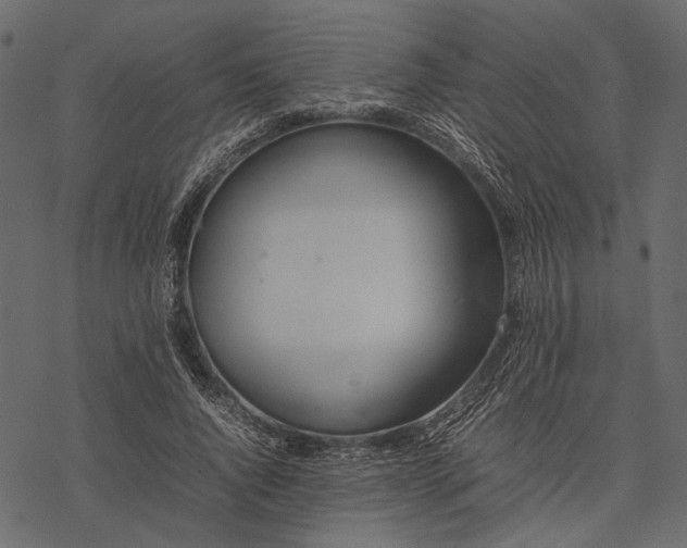 X0000077330736200611031730