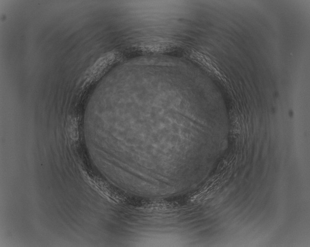 X0000077330738200611031730