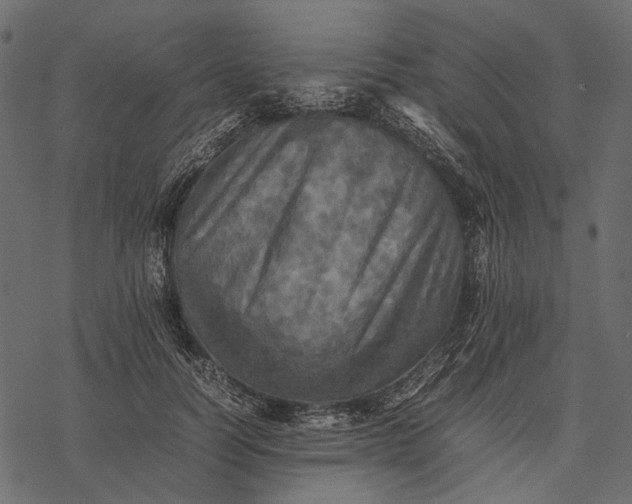 X0000077330746200611031730