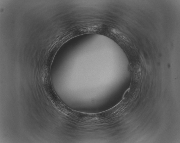 X0000077330747200611031730