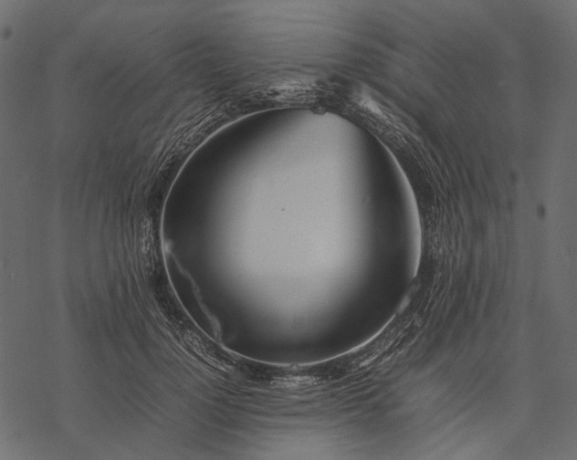 X0000077330748200611031730