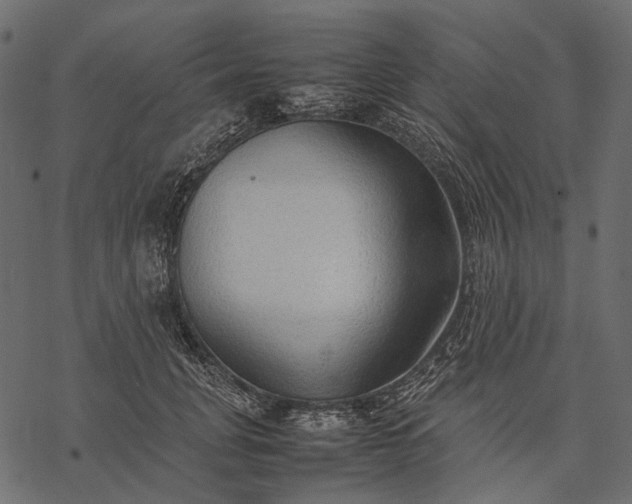X0000077330751200611031730