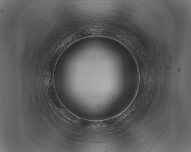 X0000077330752200611031730