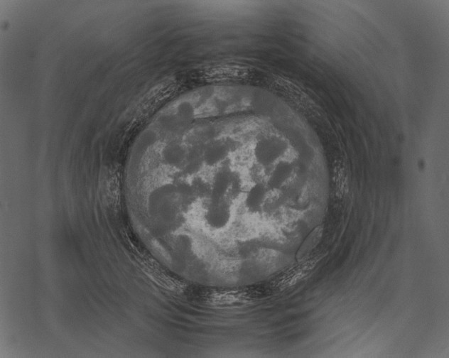 X0000077330753200611031730