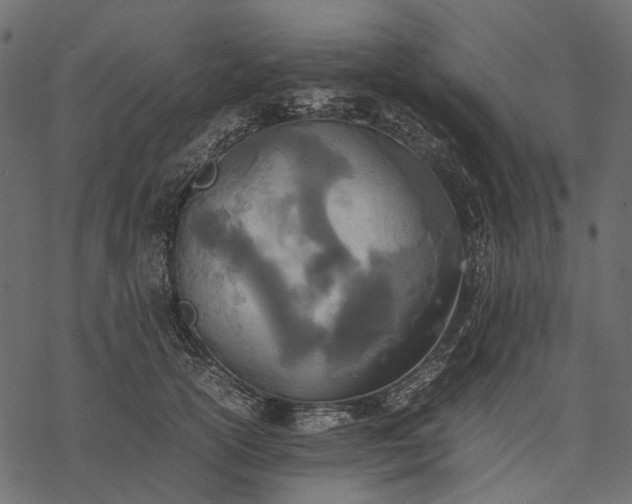 X0000077330754200611031730