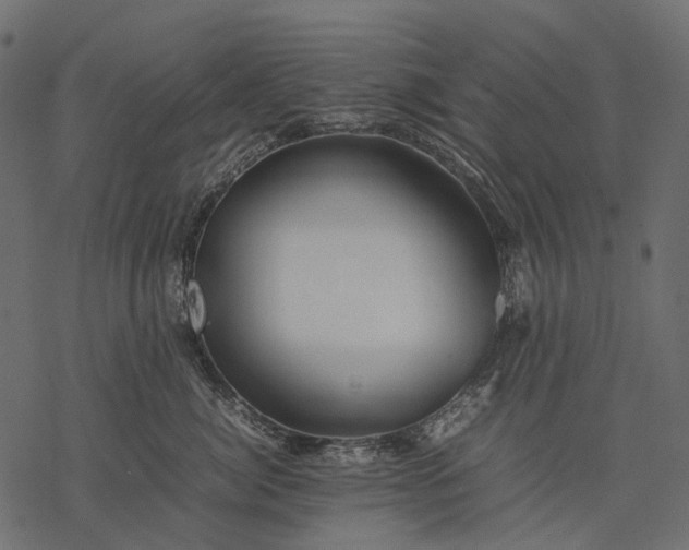 X0000077330764200611031730
